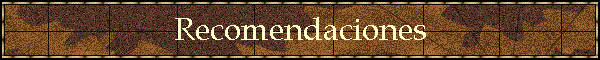 Recomendaciones